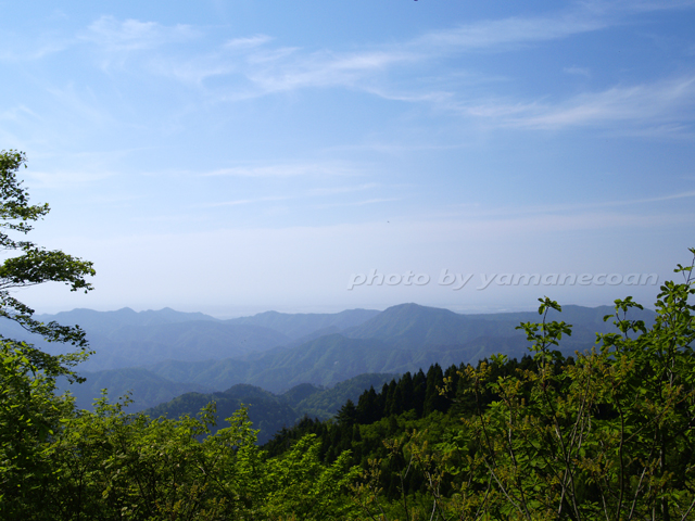 登山道からの眺望.jpg
