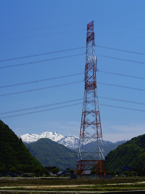 加賀幹線52号鉄塔と白山.jpg